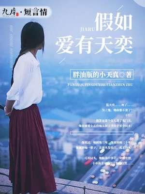 假如爱有天意 简介