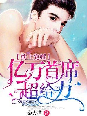 宠上枕妻