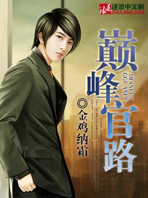 从基层到登顶的官场