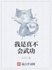 我真的不会武功 项云
