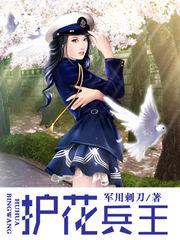 护花兵王叶凌风全集