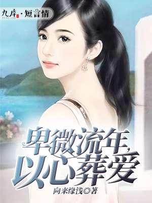 卑微流年以心葬爱简介