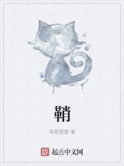 鞘翅图片