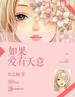 如果爱有天意吉他谱