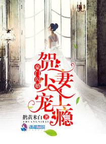 贺少闪婚暖妻全文阅读