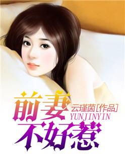 前妻不好惹全文免费阅读