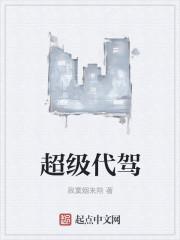 超级代驾图片