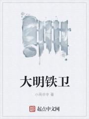 大明铁卫免费听书