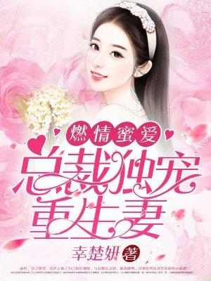 燃情蜜宠总裁的头号小鲜妻