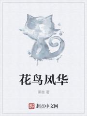 花鸟风明什么意思