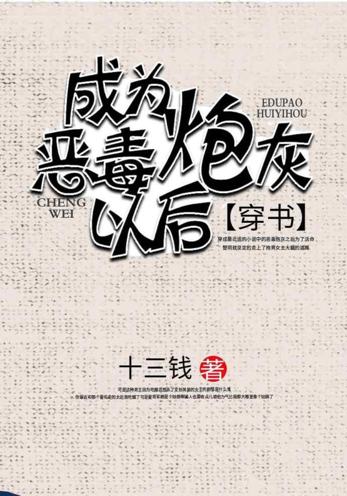 成了恶毒炮灰以后十三钱无防盗章