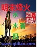 烽火大明阅读