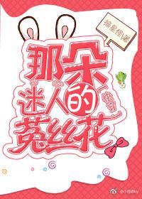 那朵迷人的菟丝花快穿江袅