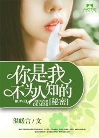 你是我不为人知的秘密顾念昔陆景生