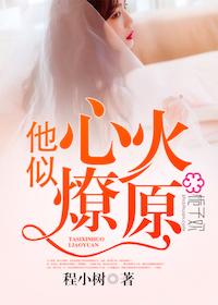 他似火全文