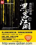 疯狂的硬盘txt全本精校版