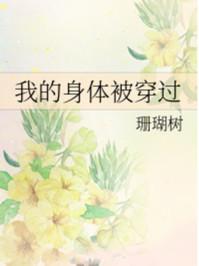 我的身体被穿过宝书网