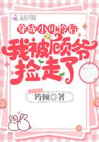 穿成小可怜后被顾少捡到