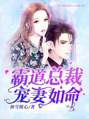 霸道总裁宠妻如命动漫视频