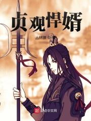 贞观赘婿