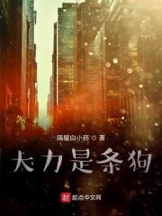 大力哥说的大力是什么