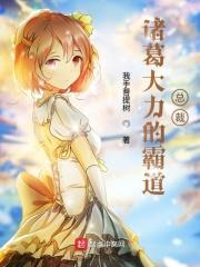 关于诸葛大力的有哪些