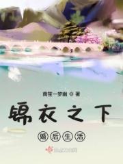 锦衣之下婚后生活番外