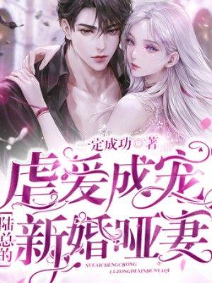 虐爱成宠陆总的新婚哑妻江澜