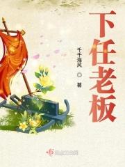 老板下一个等级是什么