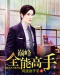 异界之巅峰高手