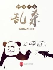 我不是乱来的人什么意思