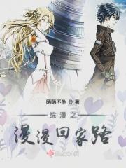 漫漫回家路正版