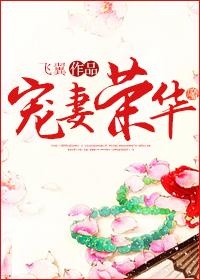 宠妻荣华txt飞翼