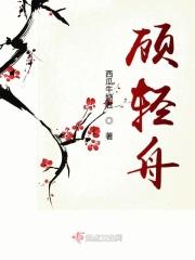 顾轻舟是什么电视剧