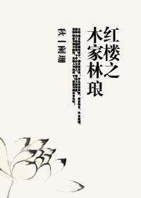 红楼之林家儿郎
