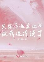 失踪之后全文阅读