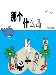 那个什么岛是什么歌