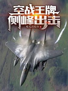 解放军王牌空军