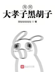 黑胡子海贼原型