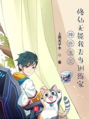 神奇宝贝之无敌训练家