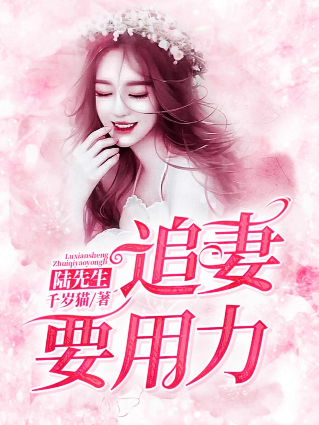 陆先生的追妻指南