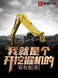 我只是挖掘机