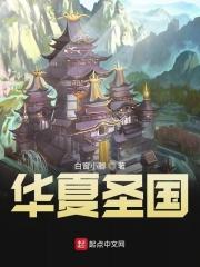 华夏圣国江辰重生