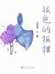 银色的狐狸动漫