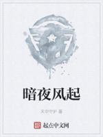 暗夜风落