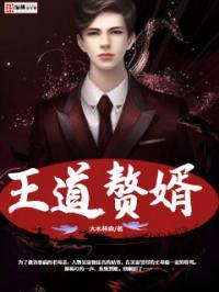 王婿免费阅读