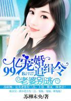 99亿闪婚豪门总裁追妻忙