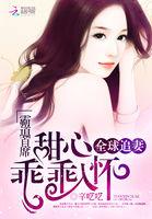 霸道首席全球追妻免费阅读