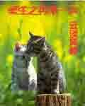 重生再来一次月下蝶影