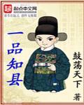 一品知县是什么意思
